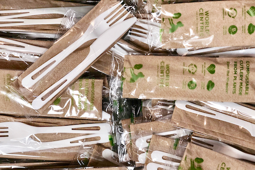 Compostable Plate & Utensil Sets